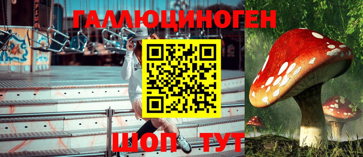Галлюциногенные грибы мухоморы Астрахань